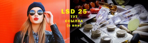 гидра Вязники