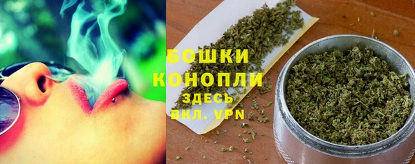 гидра Вязники