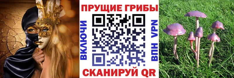 Псилоцибиновые грибы прущие грибы  Купить где  Райчихинск 